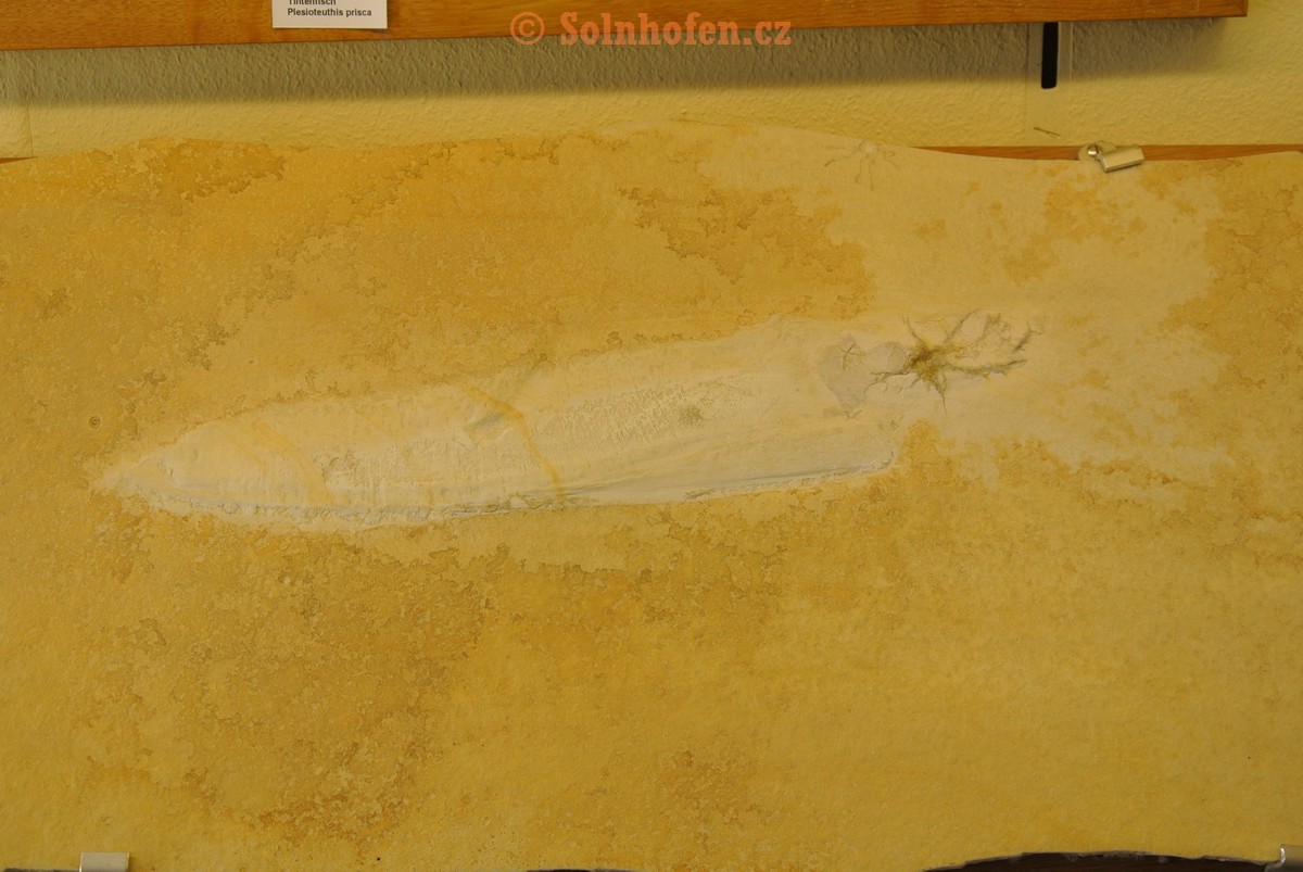 Museum-Berger-2013-0096