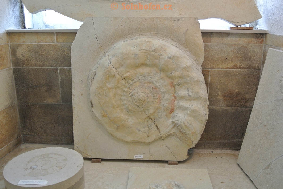 Museum-Berger-2013-0101