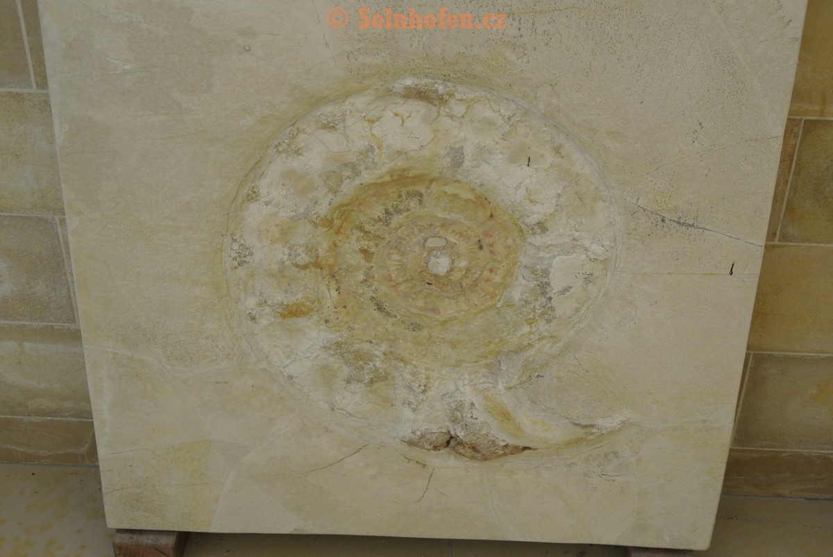 Museum-Berger-2013-0102