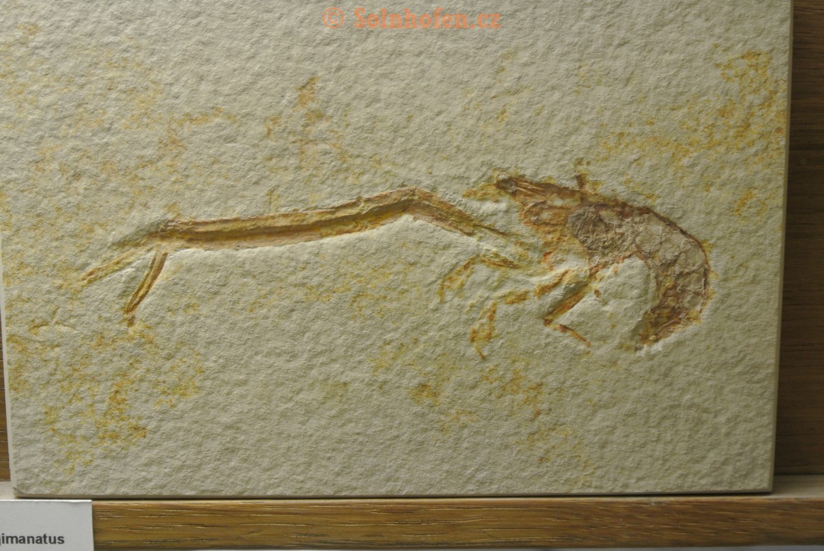 Museum-Berger-2013-0106