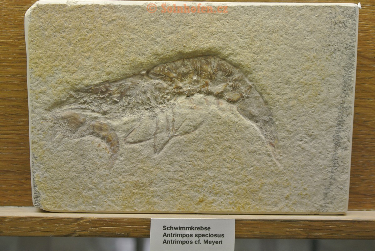 Museum-Berger-2013-0107