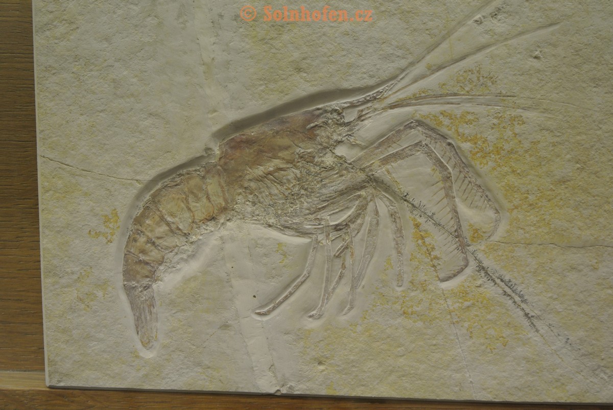 Museum-Berger-2013-0114
