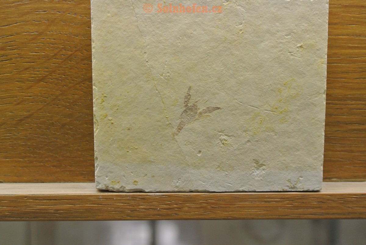 Museum-Berger-2013-0116