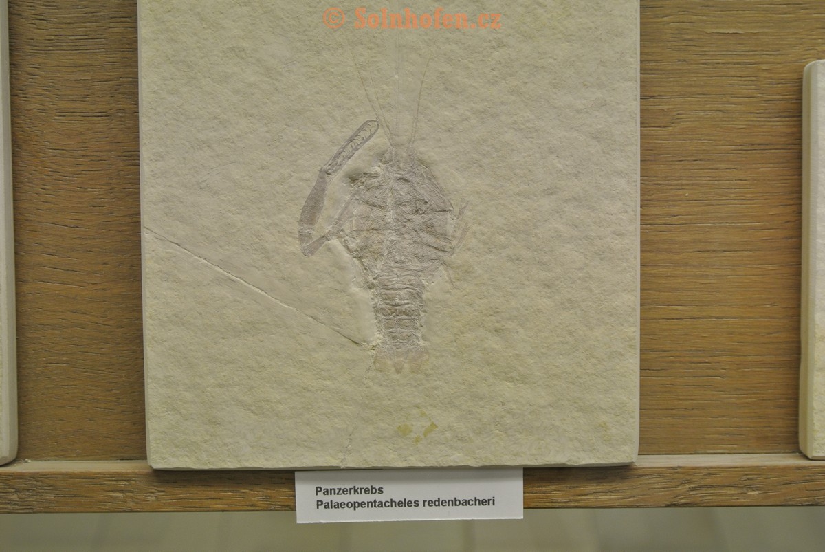 Museum-Berger-2013-0119