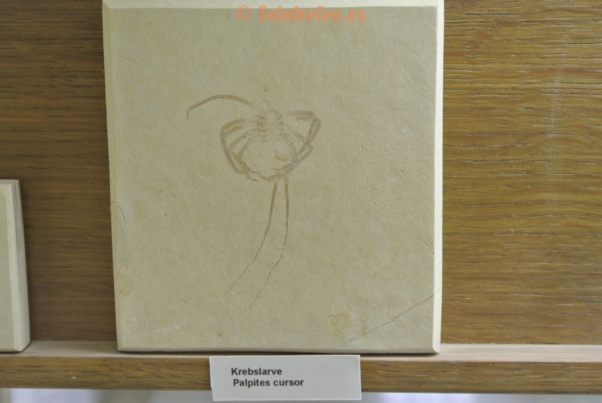 Museum-Berger-2013-0122