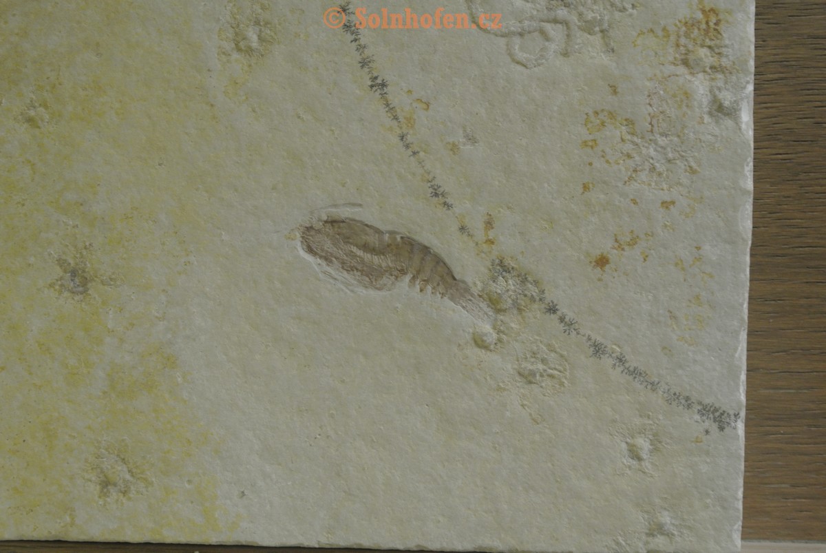 Museum-Berger-2013-0123