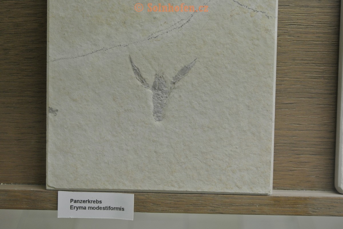 Museum-Berger-2013-0124