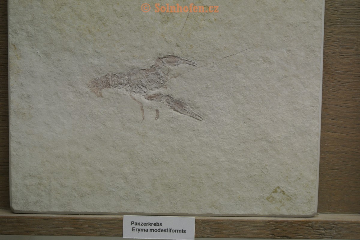 Museum-Berger-2013-0125