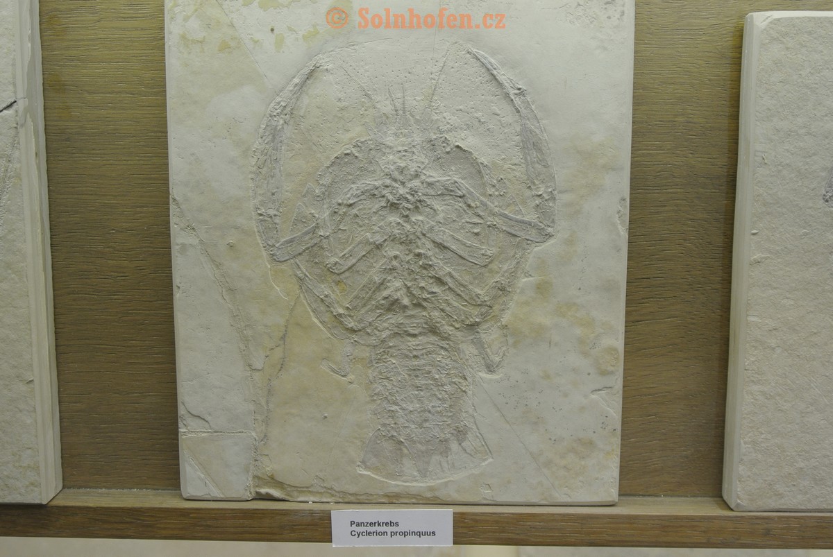 Museum-Berger-2013-0126