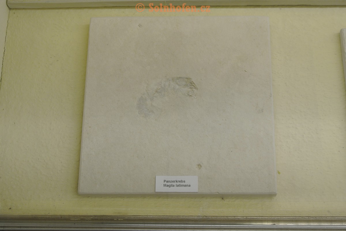 Museum-Berger-2013-0128
