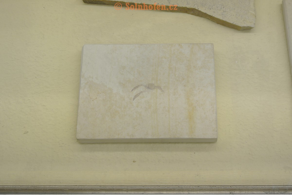 Museum-Berger-2013-0129