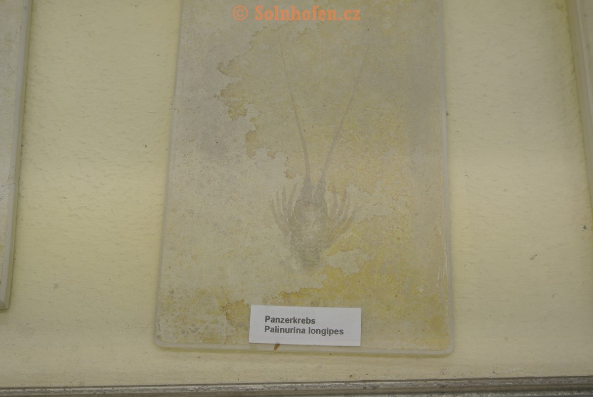 Museum-Berger-2013-0131