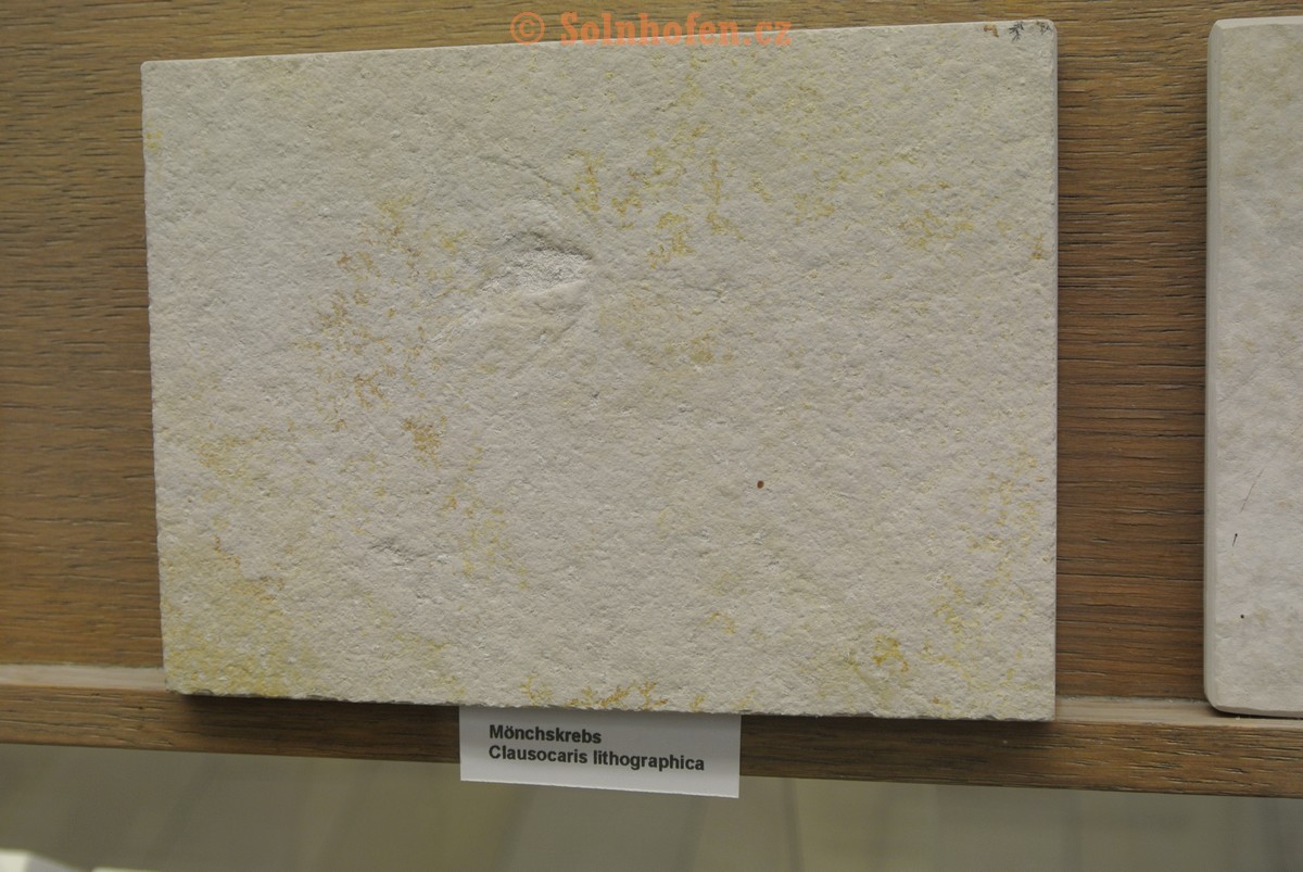 Museum-Berger-2013-0134