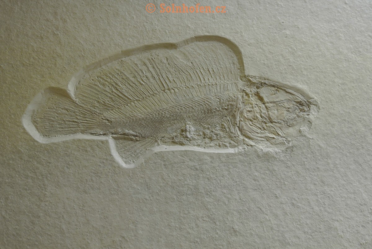 Museum-Berger-2013-0147