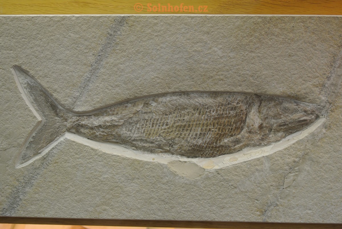 Museum-Berger-2013-0150