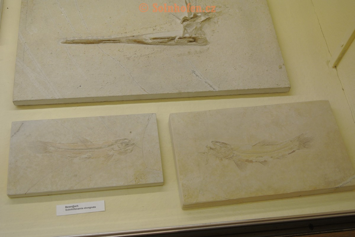 Museum-Berger-2013-0152