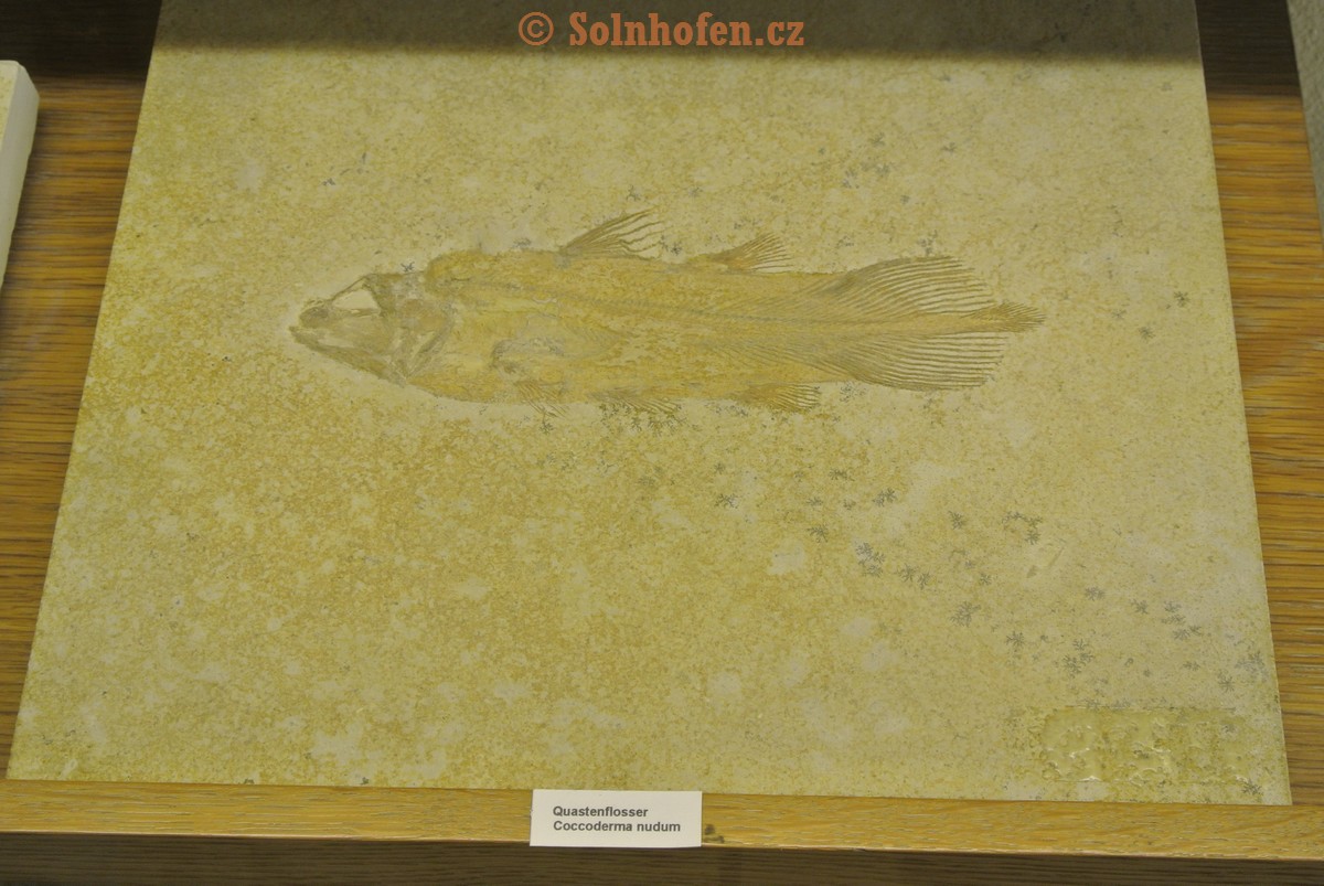 Museum-Berger-2013-0159