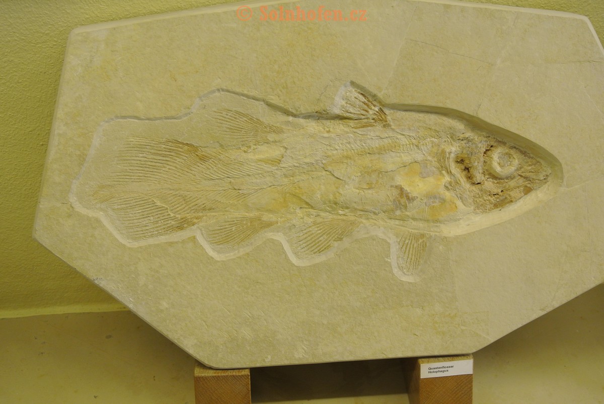 Museum-Berger-2013-0167