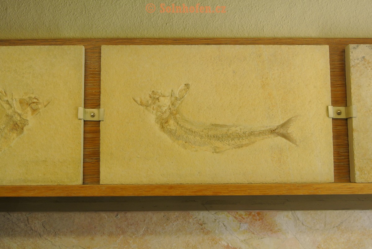 Museum-Berger-2013-0171