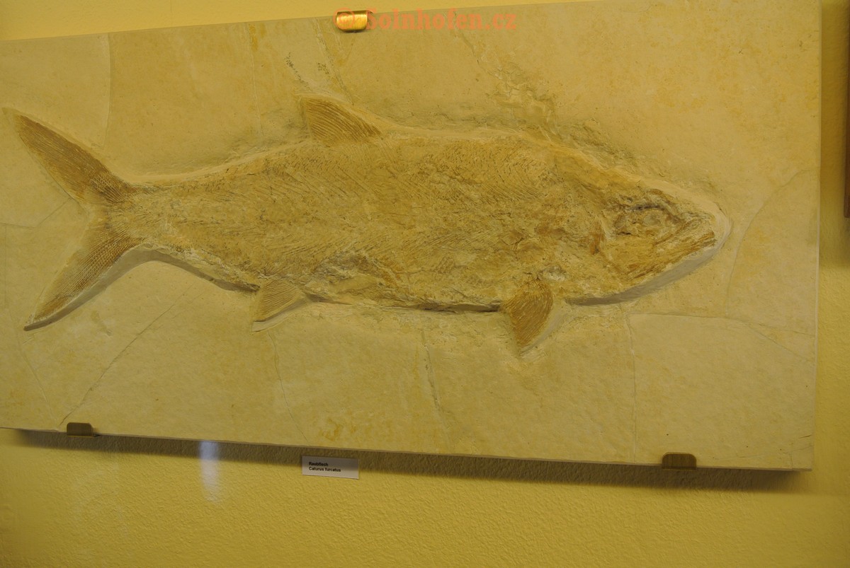 Museum-Berger-2013-0178