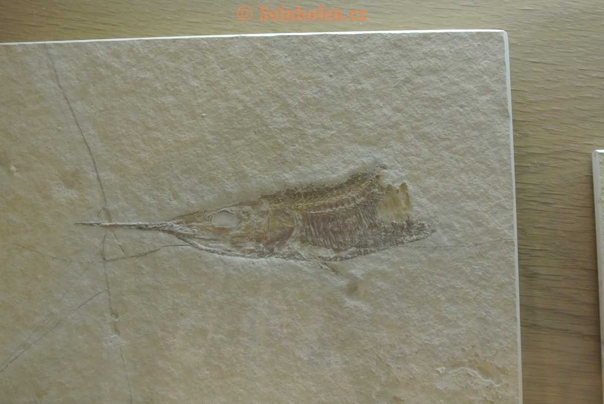 Museum-Berger-2013-0182