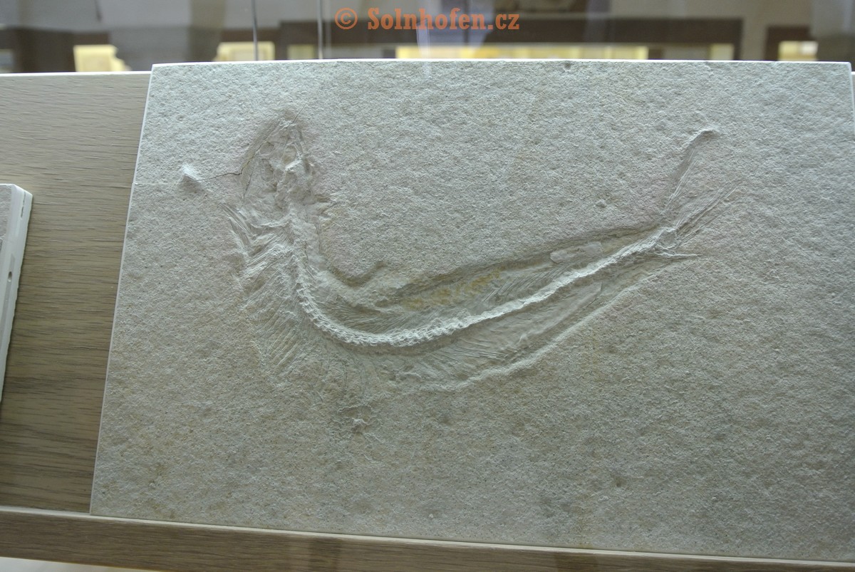 Museum-Berger-2013-0188