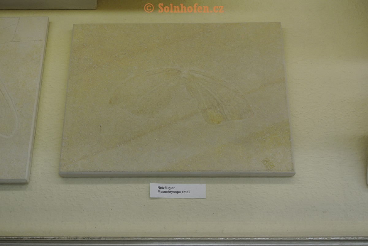 Museum-Berger-2013-0204