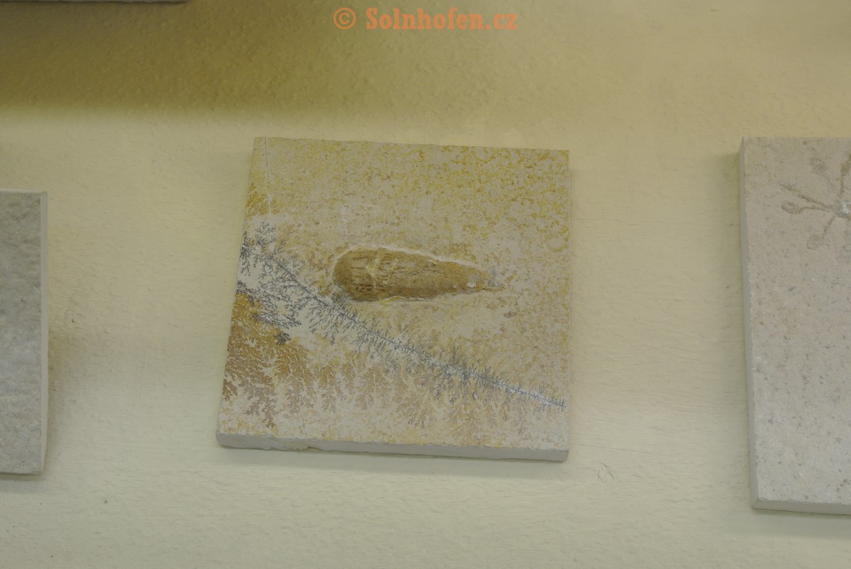 Museum-Berger-2013-0206