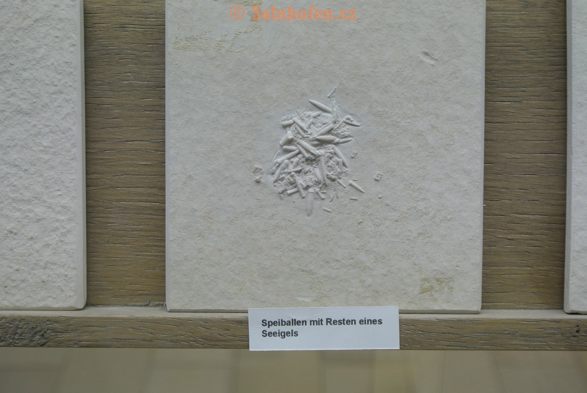 Museum-Berger-2013-0211