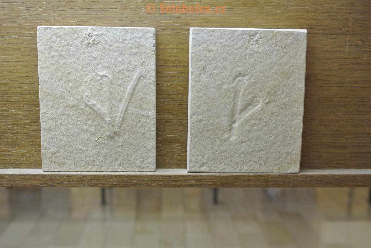 Museum-Berger-2013-0222