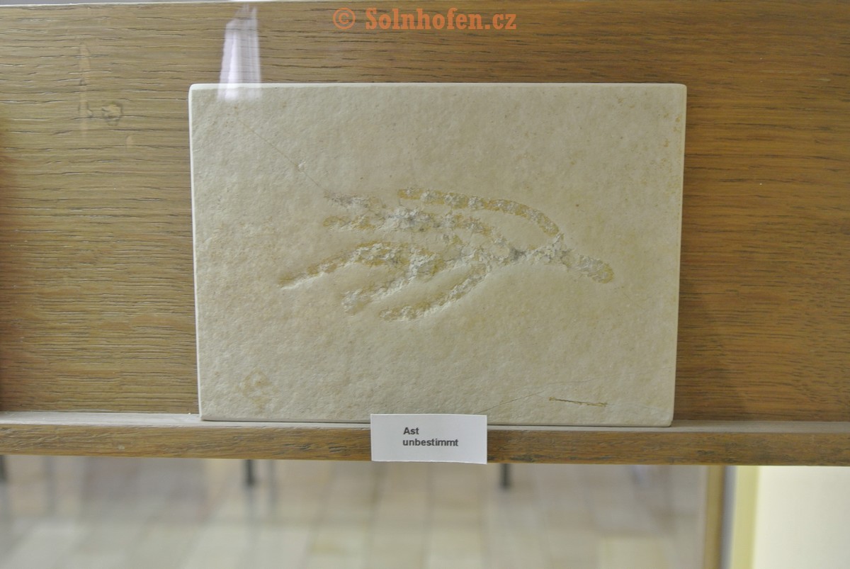 Museum-Berger-2013-0223