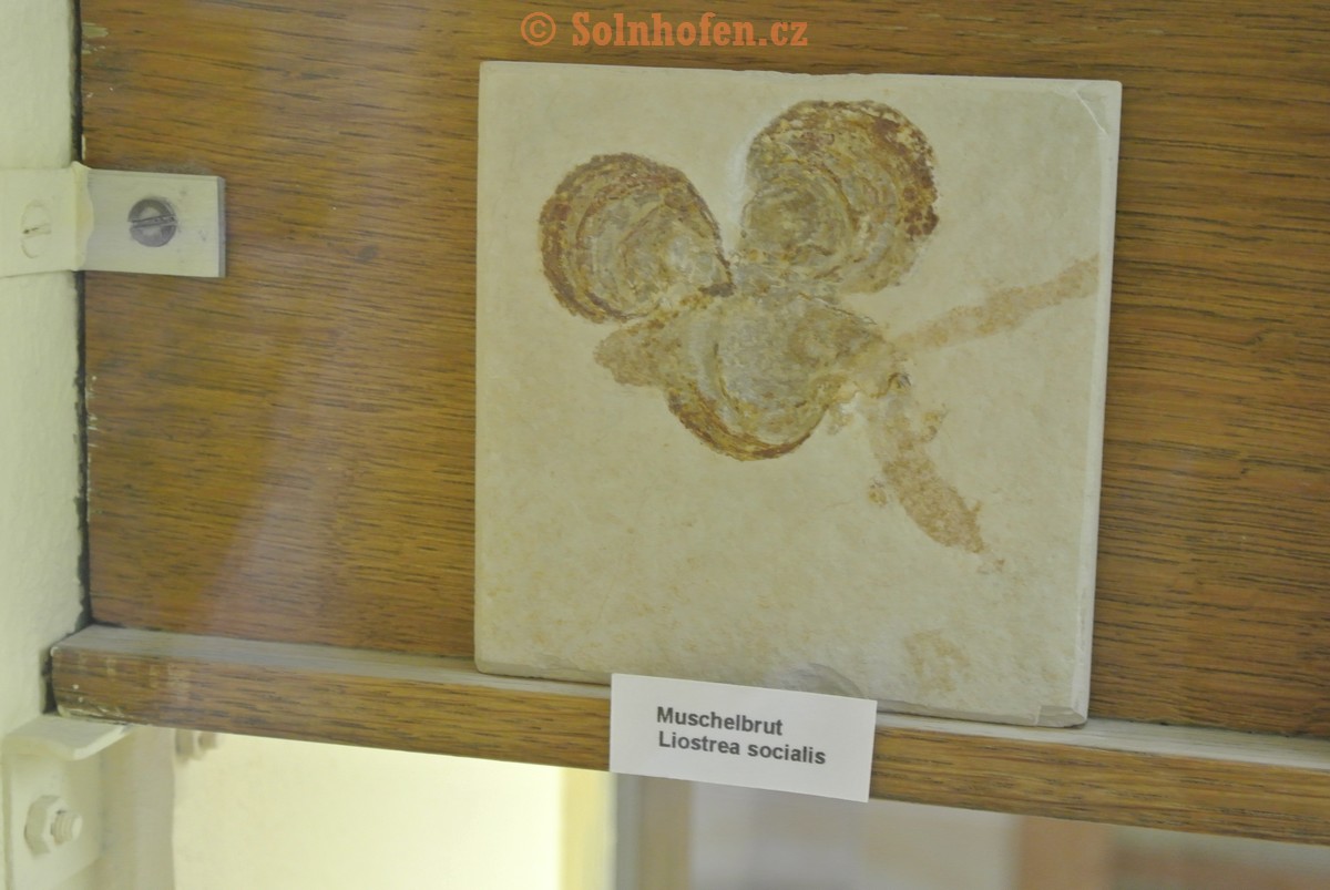 Museum-Berger-2013-0228