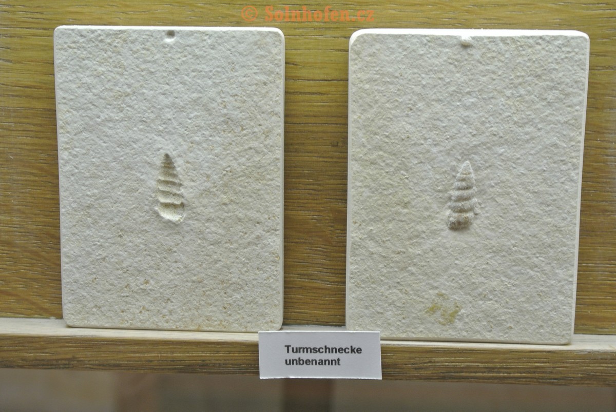 Museum-Berger-2013-0229