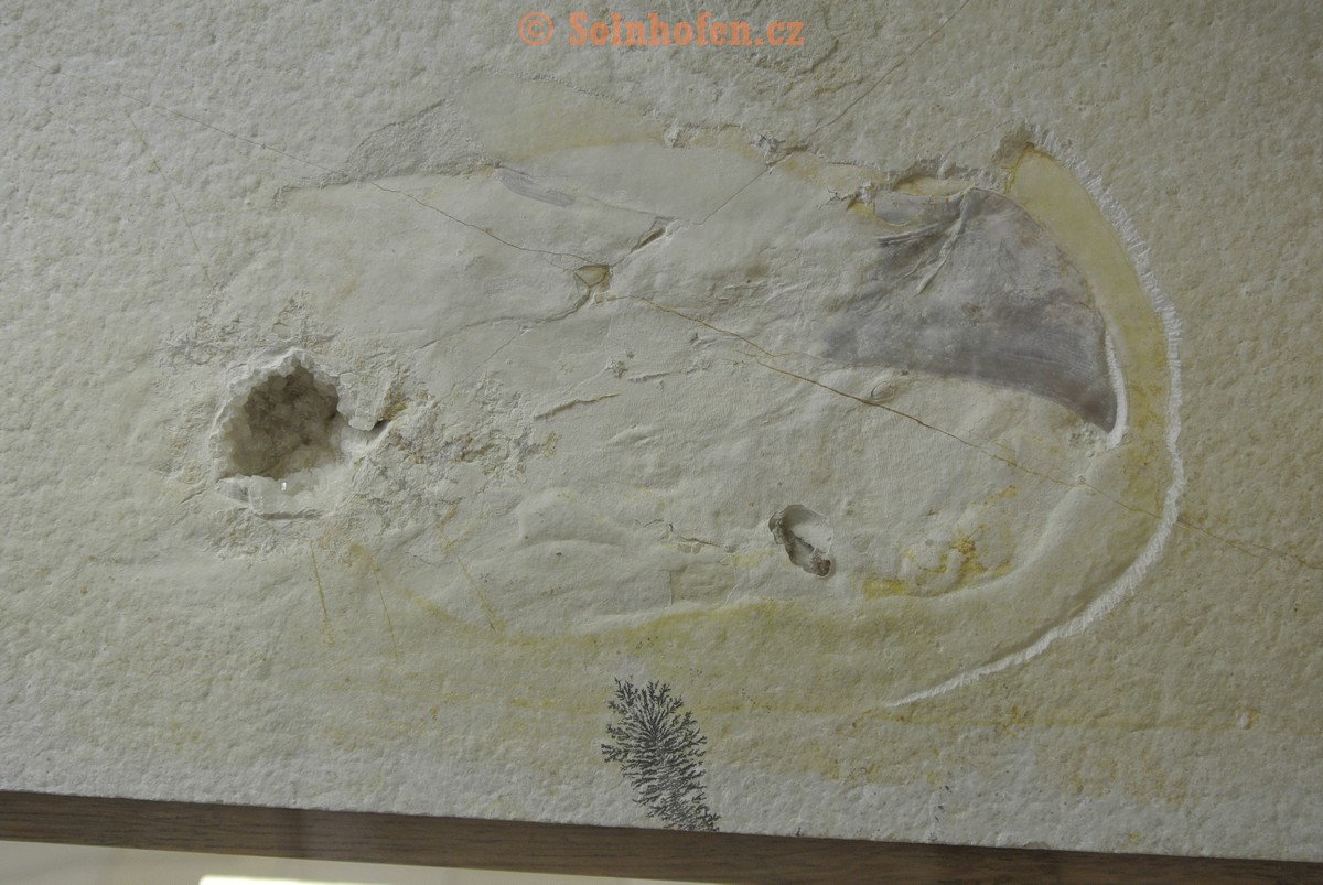 Museum-Berger-2013-0233