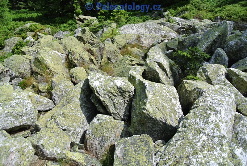 KarlovaStudanka-Sut-07-2013-0037