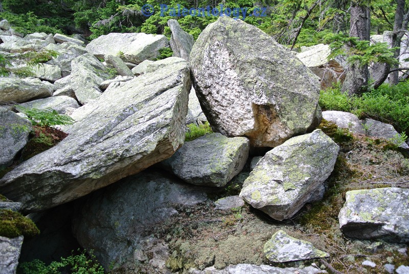 KarlovaStudanka-Sut-07-2013-0052