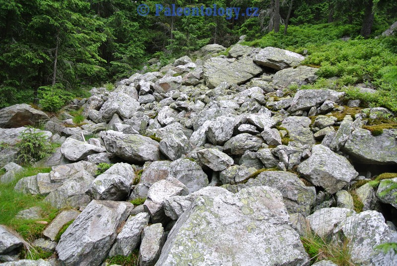 KarlovaStudanka-Sut-07-2013-0091