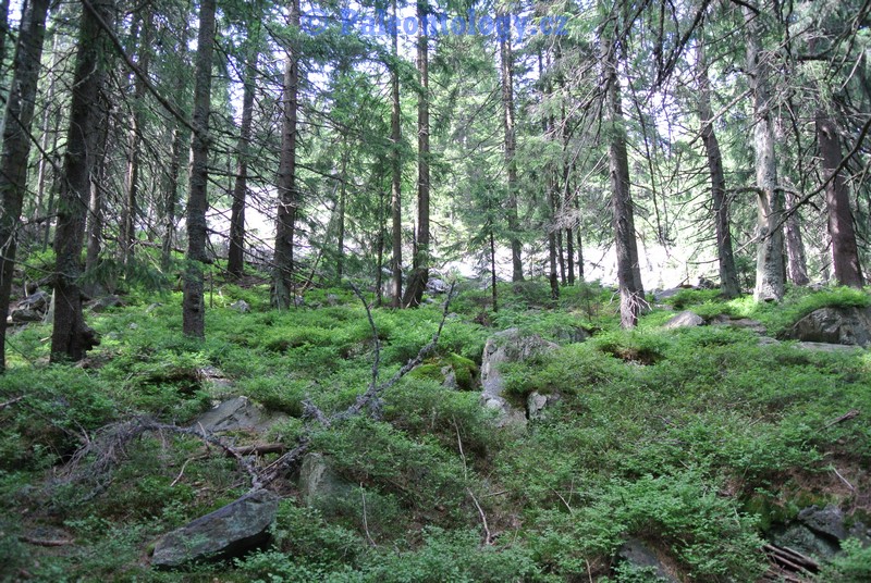 KarlovaStudanka-Sut-07-2013-0094