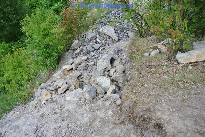 CelechoviceNaHane-RuzickuvLom-07-2013-0001