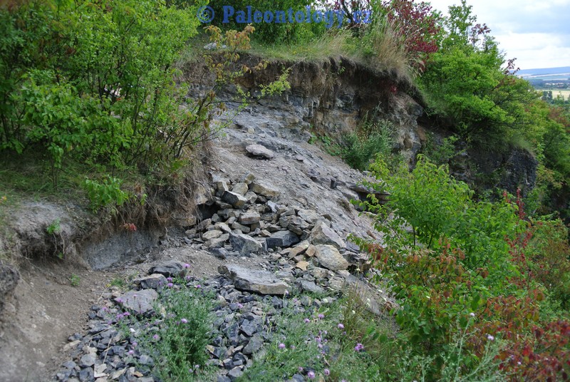 CelechoviceNaHane-RuzickuvLom-07-2013-0004