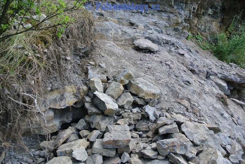 CelechoviceNaHane-RuzickuvLom-07-2013-0007