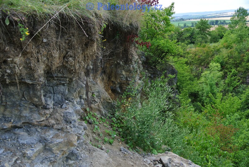 CelechoviceNaHane-RuzickuvLom-07-2013-0012