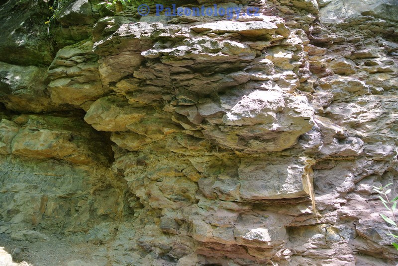 CelechoviceNaHane-RuzickuvLom-07-2013-0017