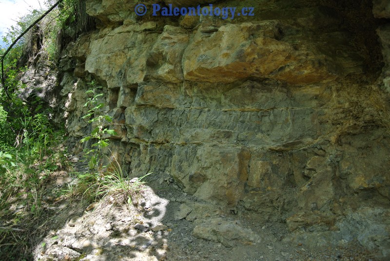 CelechoviceNaHane-RuzickuvLom-07-2013-0020