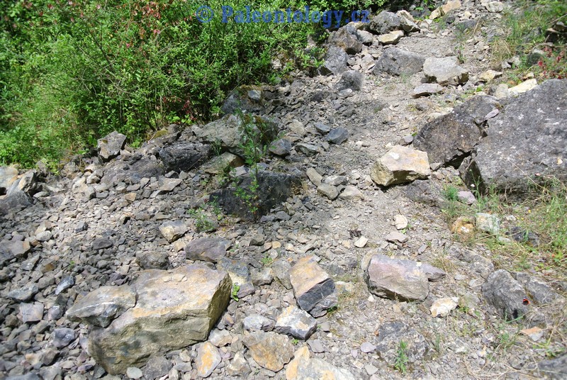 CelechoviceNaHane-RuzickuvLom-07-2013-0023