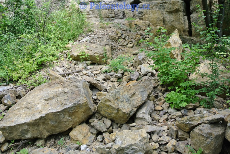 CelechoviceNaHane-RuzickuvLom-07-2013-0025