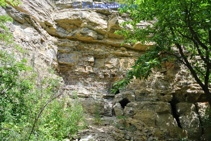 CelechoviceNaHane-RuzickuvLom-07-2013-0031