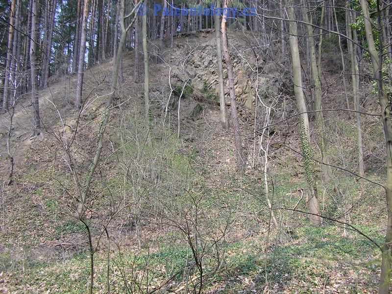 SucheLazce-Prerovec-04-2005-0001
