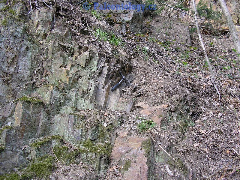 SucheLazce-Prerovec-04-2005-0003