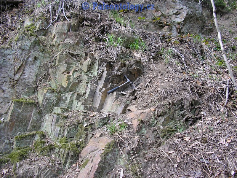 SucheLazce-Prerovec-04-2005-0004
